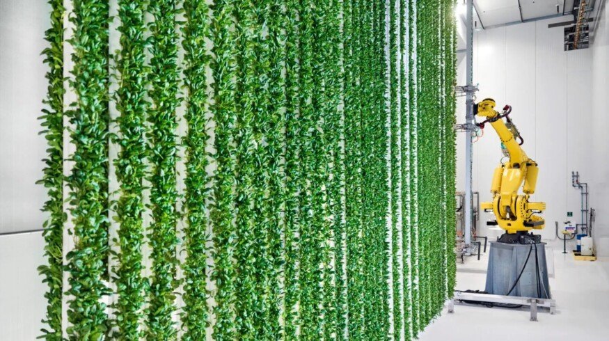 Vertical farming startup Plenty filed for bankruptcy despite raising $1 billion from SoftBank, Walmart and Jeff Bezos