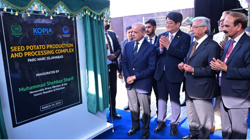 South Korea aids Pakistan in establishing seed potato self-reliance