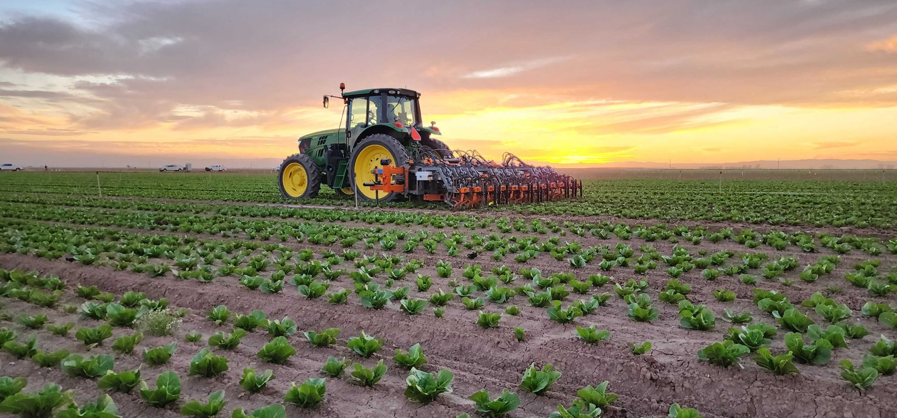 FarmWise to close operations, exploring sale of its AI weeding technology