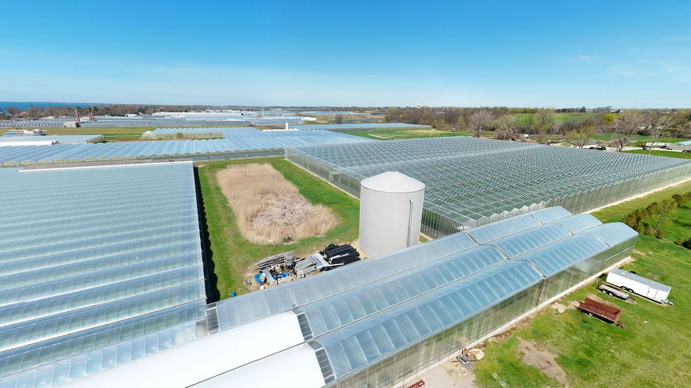 Harmoniz Seeds opens Canadian facility to localize vegetable breeding