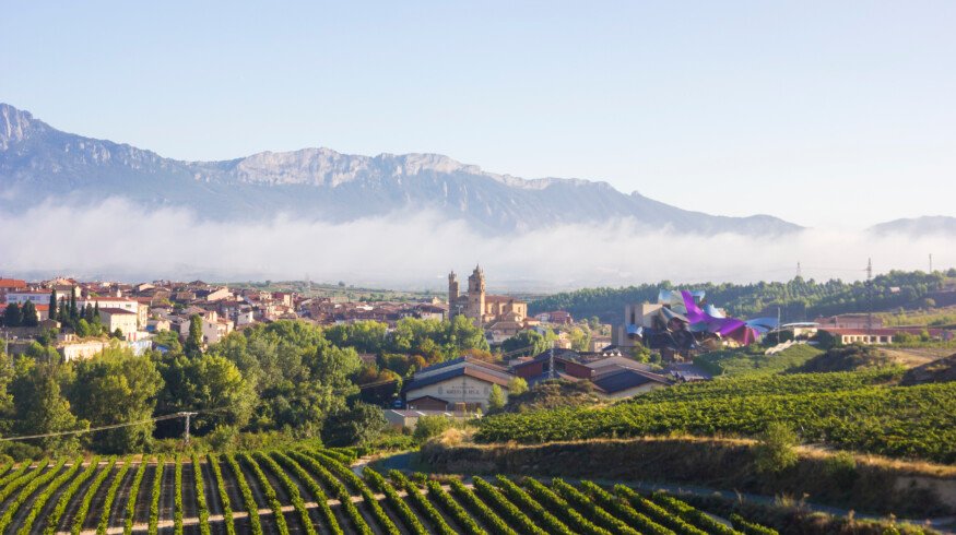 Spanish farmers fight to protect vineyards from soil degradation facing highest in Europe erosion rates