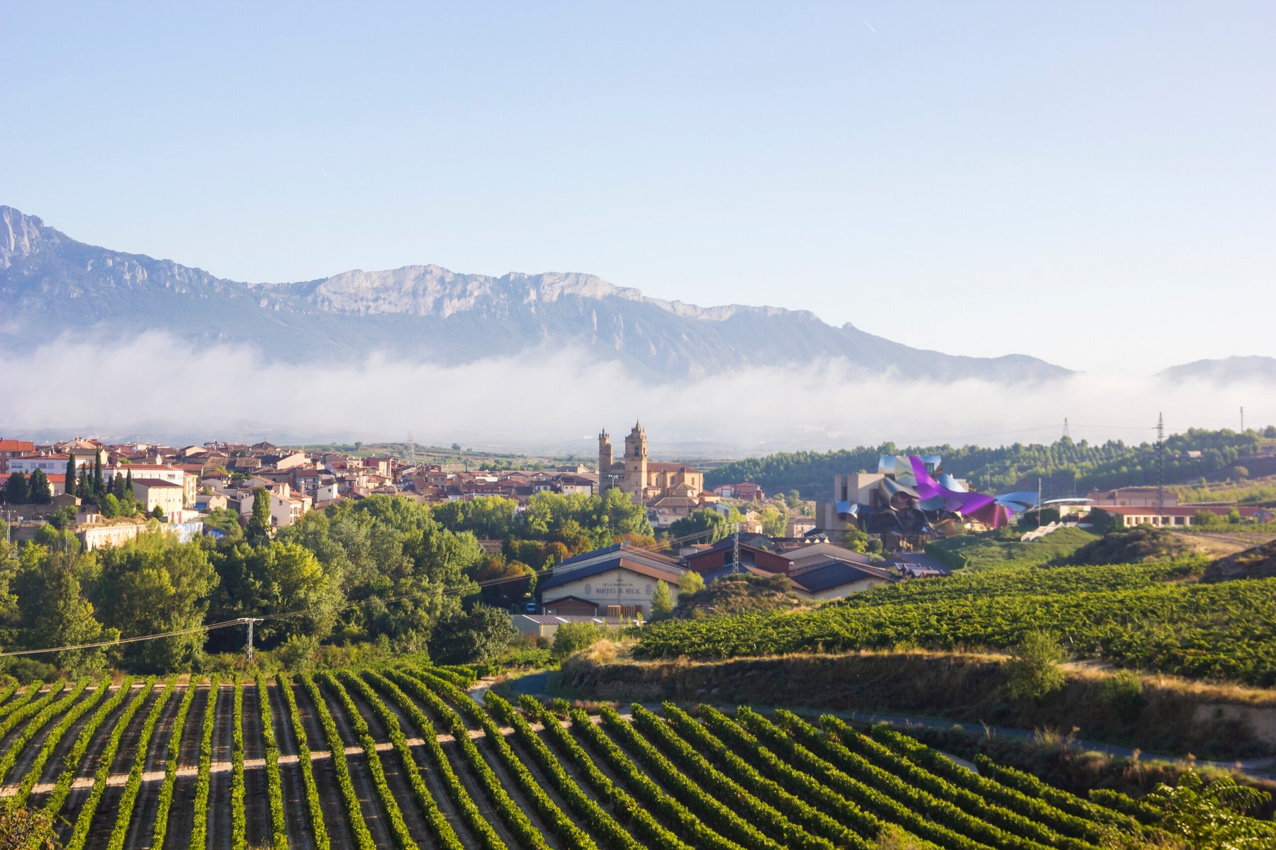Spanish farmers fight to protect vineyards from soil degradation facing highest in Europe erosion rates