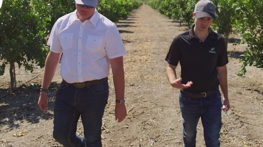 Phytech launches AI-powered irrigation advisor for farm-level water optimization