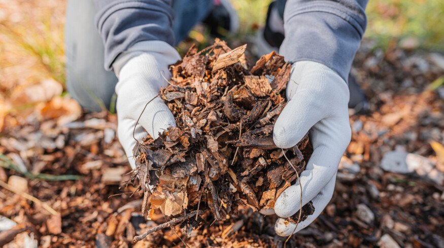 Researchers discovered compost and biochar could enhance carbon capture potential