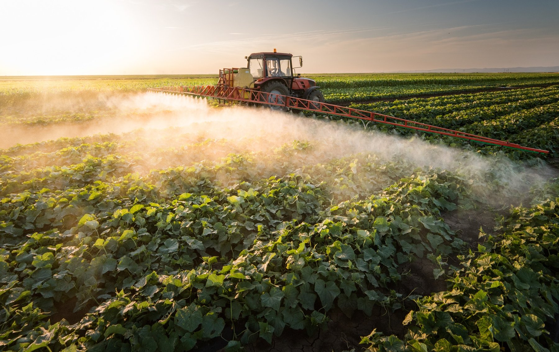 ASTA defends pesticide use after health panel questions safety