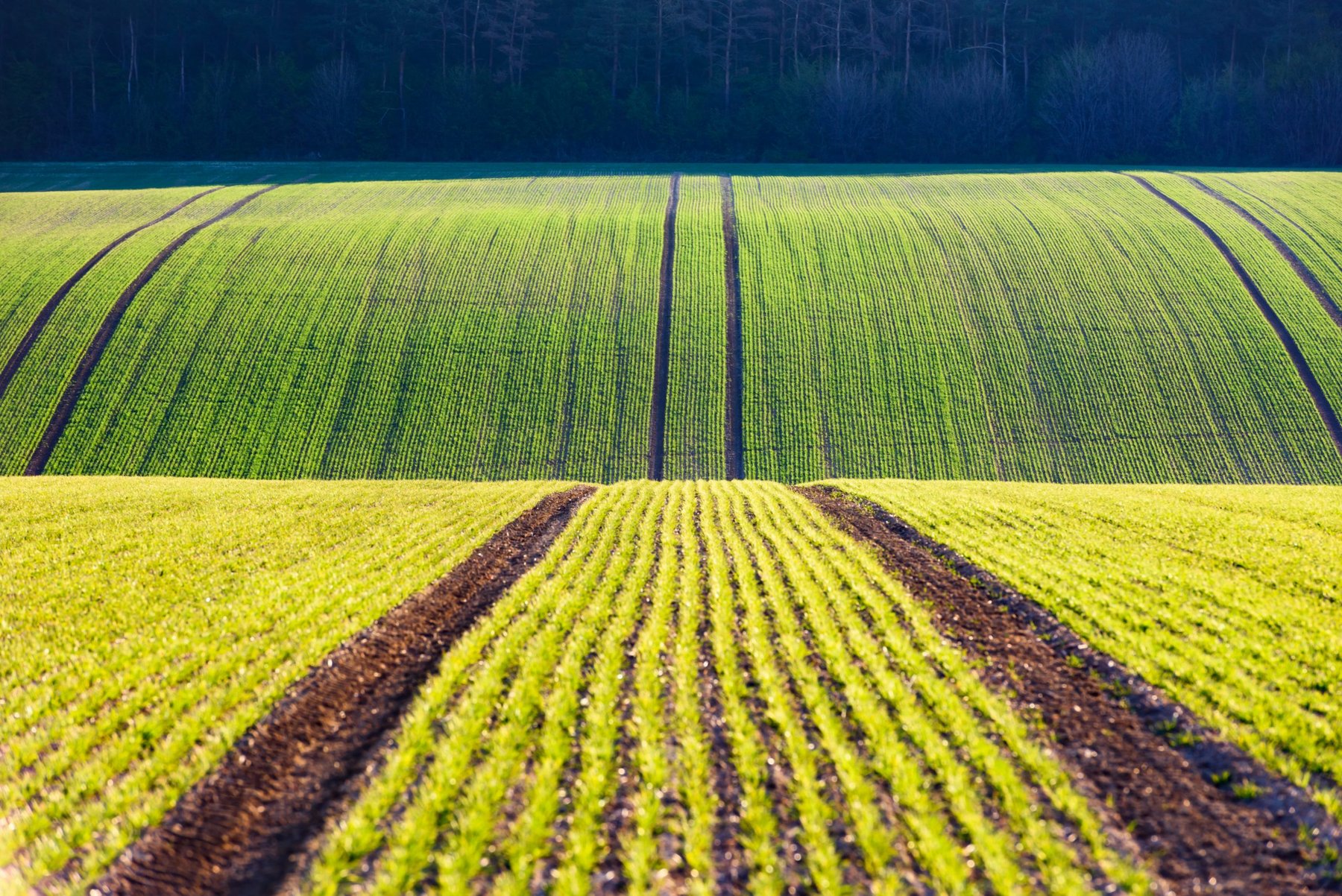 CPDA says MAHA report mischaracterizes pesticide safety and risks food affordability