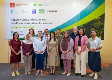 Danish government partners with Ferrero, Musim Mas and NGOs to advance sustainable palm oil in Indonesia