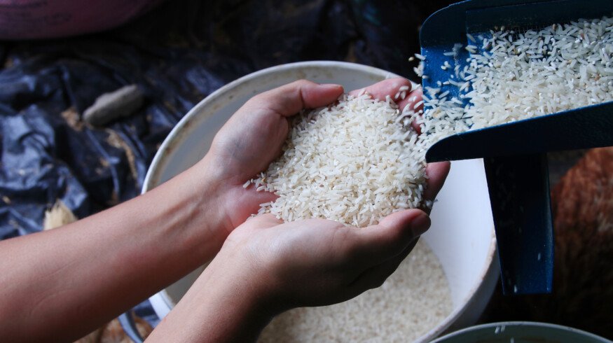 India unveils genome-edited rice varieties aimed at boosting yield