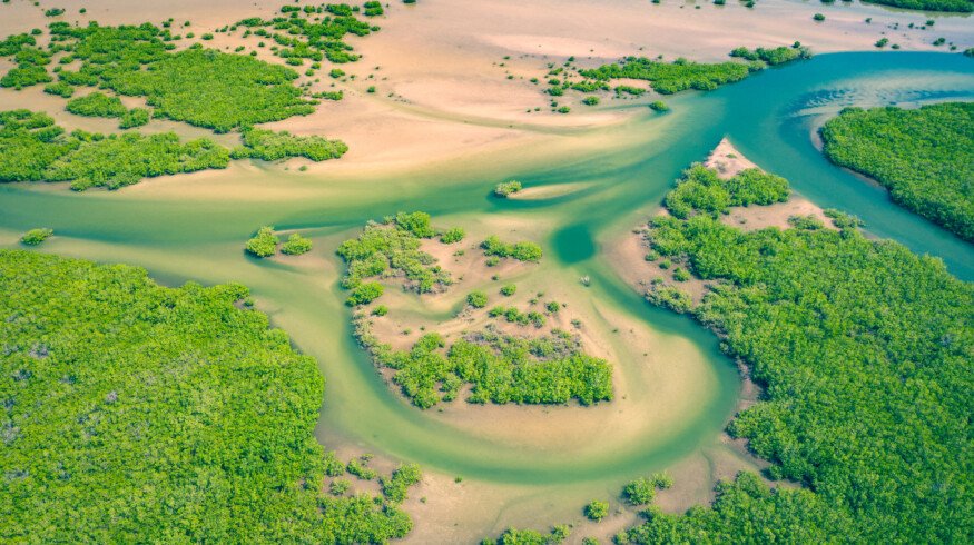 Traditional water harvesting technique revives farmland in Senegal
