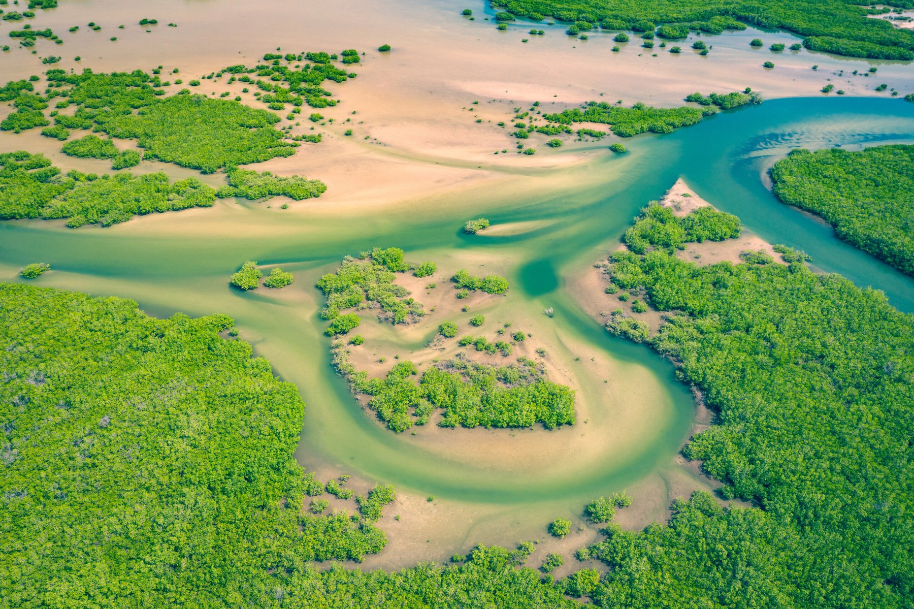 Traditional water harvesting technique revives farmland in Senegal