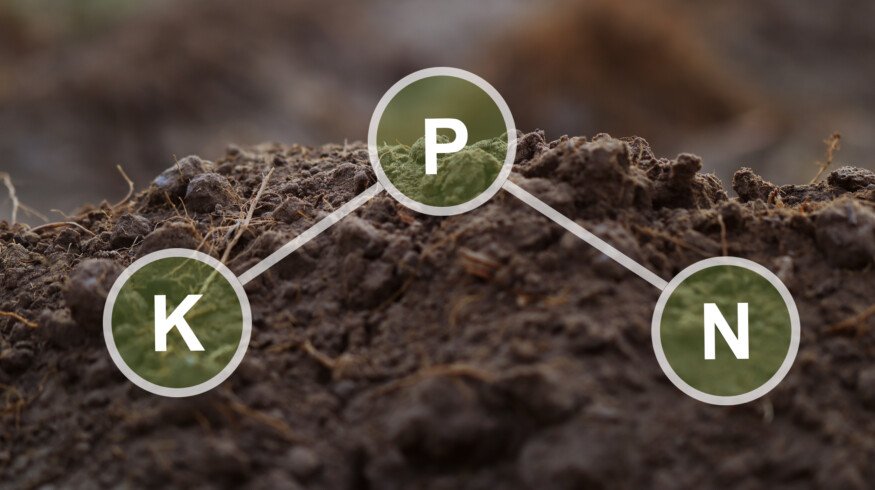 Novel fertilizers show promise for improving agricultural sustainability by increasing nutrient use efficiency