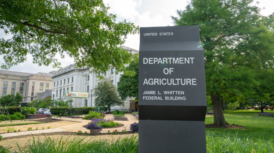 USDA distributes $1.3 billion to support specialty crop producers within marketing assistance program