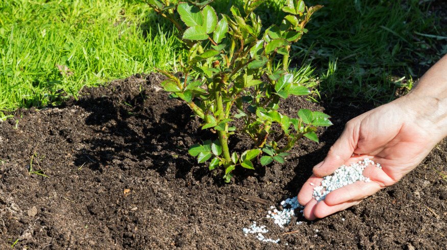 RUSAL begins testing silicon-based fertilizer that may reduce reliance on traditional NPK inputs