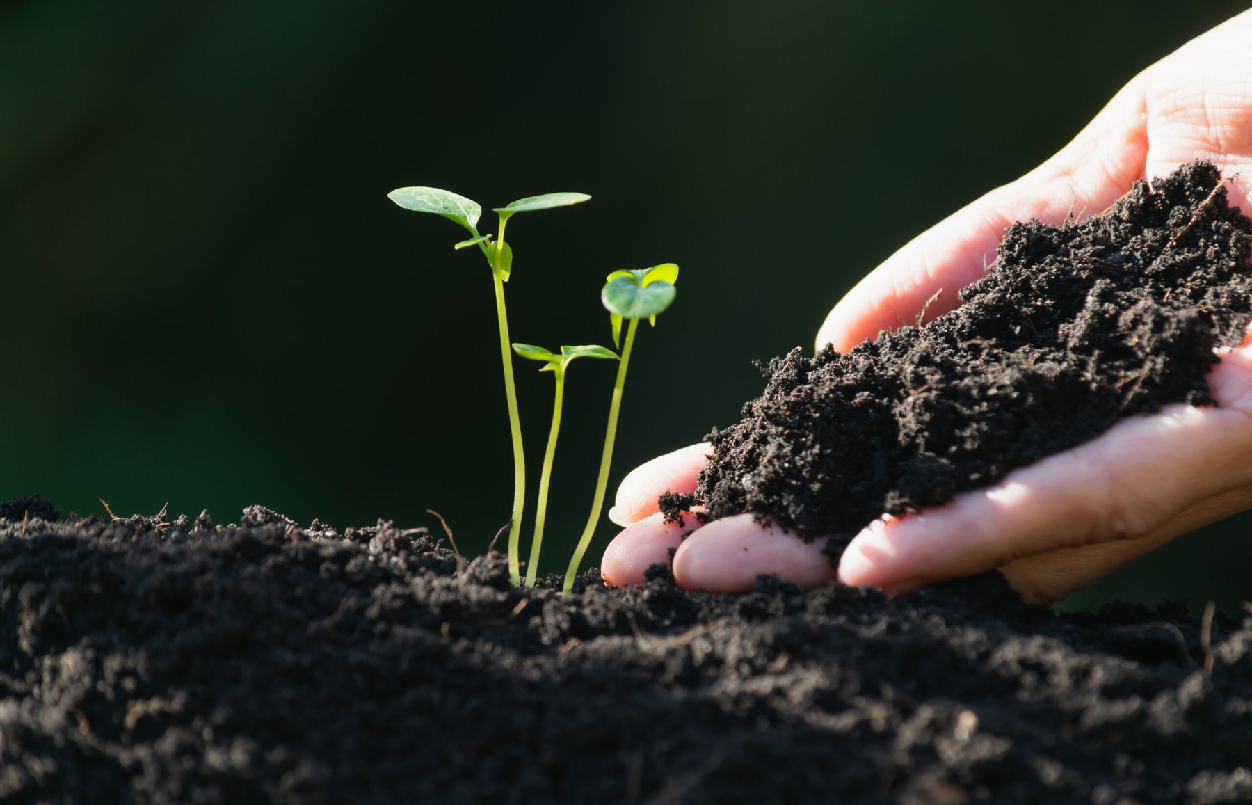 North America organic fertilizer market projected to exceed $4.7 billion by 2035