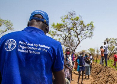 FAO warns of worsening land degradation in the Arab region