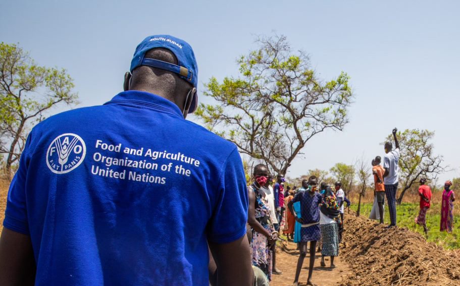 FAO warns of worsening land degradation in the Arab region