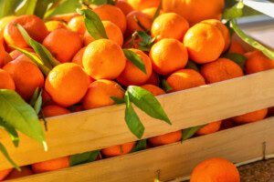U.S. secures new agricultural trade gains in Brazil, Thailand, and Vietnam