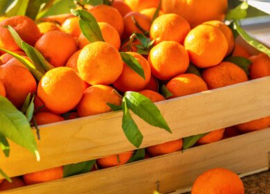 U.S. secures new agricultural trade gains in Brazil, Thailand, and Vietnam
