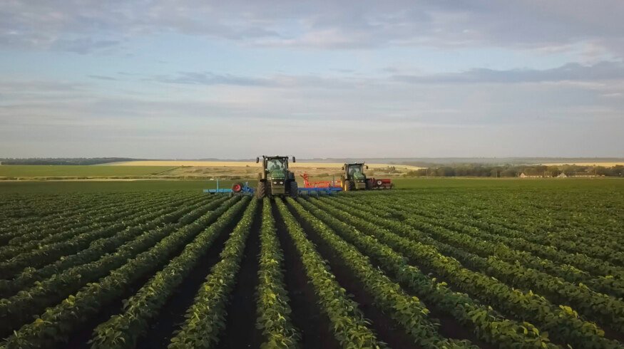 Kazakhstan launches new fertilizer and agrochemical plant