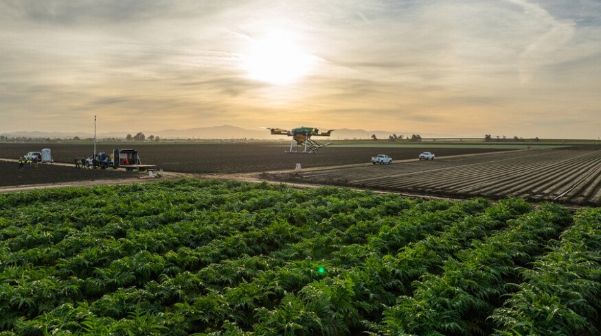 Drone maker Guardian Ag targets crop-spraying sector