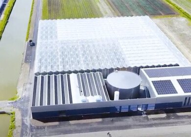 Enza Zaden opens new high-tech cucumber breeding complex and energy center in Netherlands