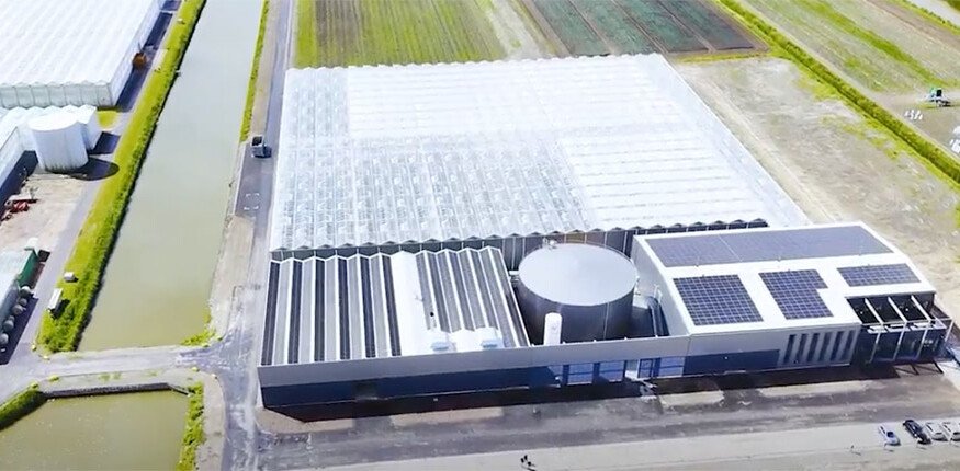Enza Zaden opens new high-tech cucumber breeding complex and energy center in Netherlands