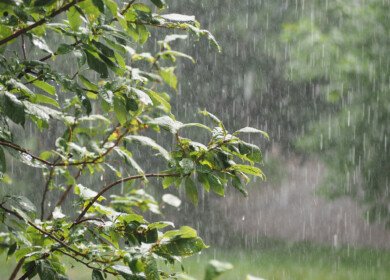 Relentless spring rains leave Southern U.S. farmers with historic prevent plant losses