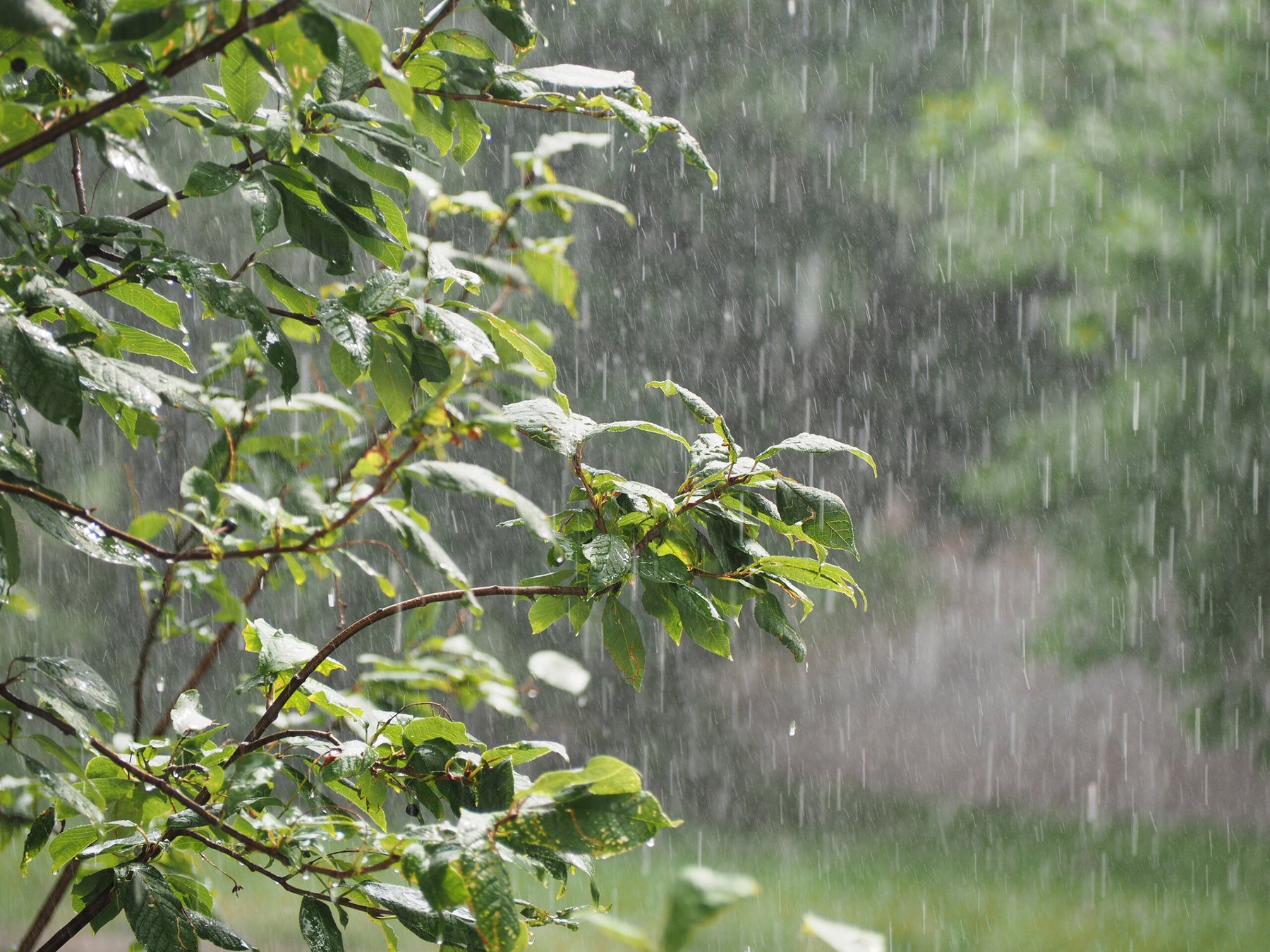Relentless spring rains leave Southern U.S. farmers with historic prevent plant losses