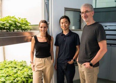 Vertical farming seen as a key to higher yields and lower environmental impact