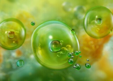 Scientists revive 7,000-year-old algae, offering glimpse into ancient marine life