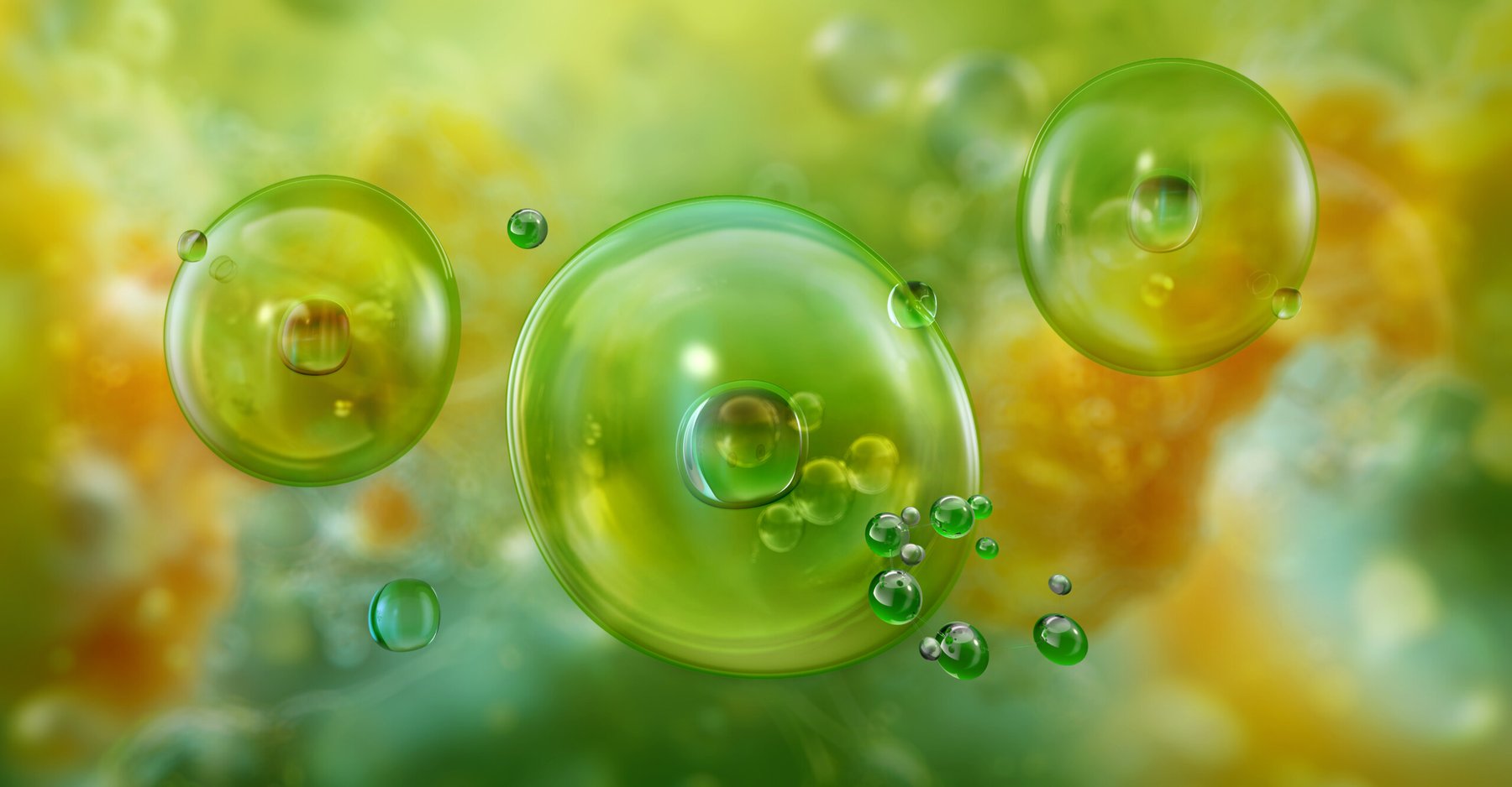 Scientists revive 7,000-year-old algae, offering glimpse into ancient marine life
