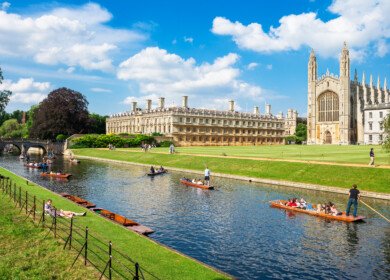 Cambridge scientists identify gut bacteria that may protect against PFAS chemical exposure