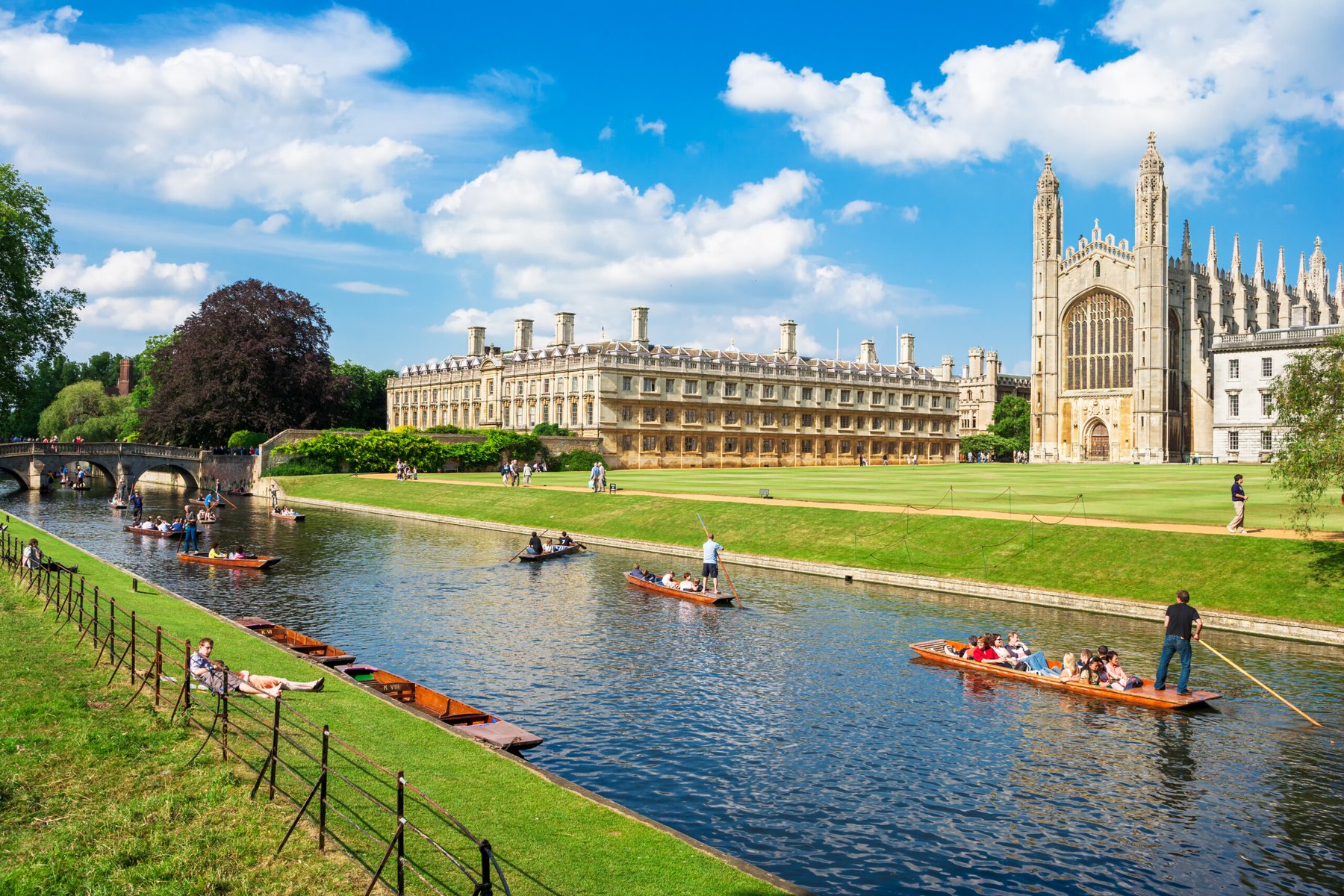 Cambridge scientists identify gut bacteria that may protect against PFAS chemical exposure