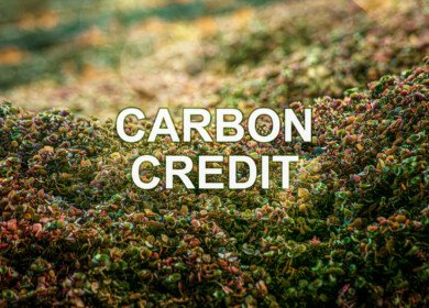 Microsoft signs 12-year deal with Agoro Carbon for 2.6 million soil carbon credits