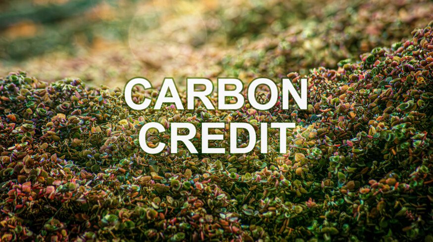 Microsoft signs 12-year deal with Agoro Carbon for 2.6 million soil carbon credits