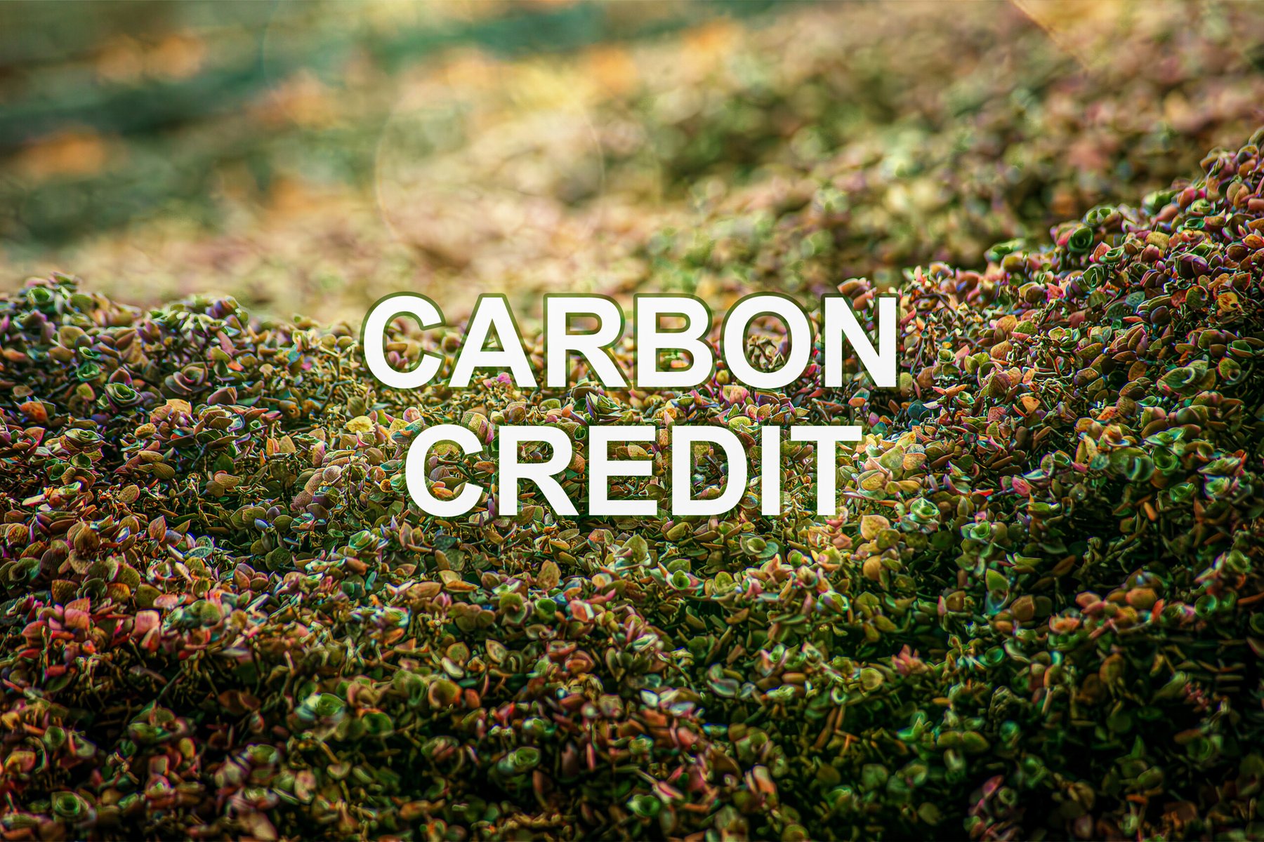 Microsoft signs 12-year deal with Agoro Carbon for 2.6 million soil carbon credits