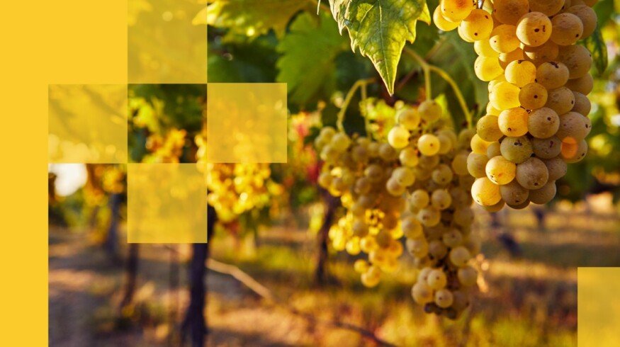 US Agriculture partners with CeresAI to bring AI oversight to farmland portfolio