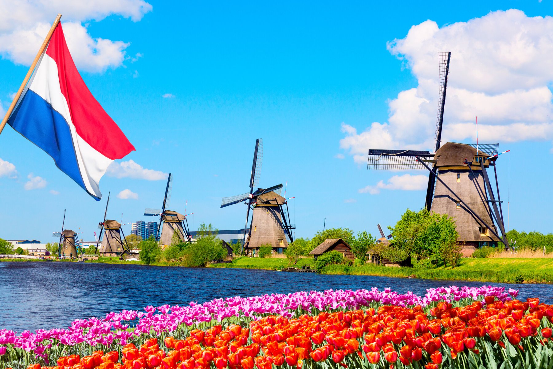 Nitrogen pollution caused Netherlands $17.2 billion in damage, says confidential government report