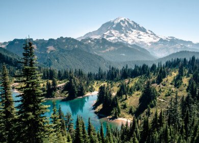 USDA commits $80 million to expand timber markets and improve forest resilience