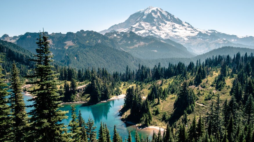 USDA commits $80 million to expand timber markets and improve forest resilience