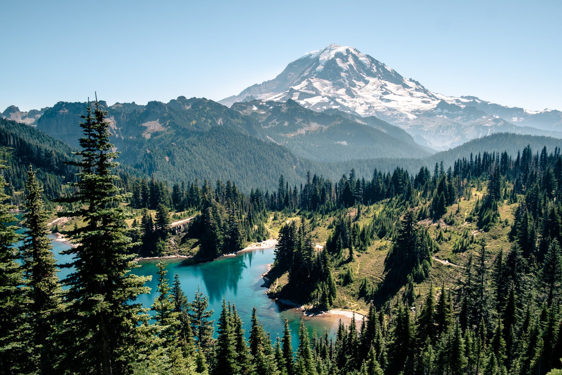 USDA commits $80 million to expand timber markets and improve forest resilience