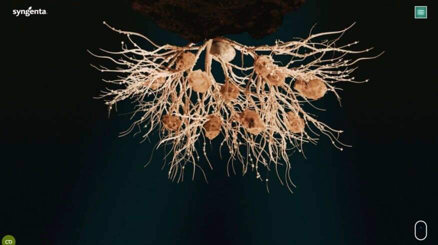 Syngenta registers TYMIRIUM technology in Brazil to combat nematodes and soil diseases