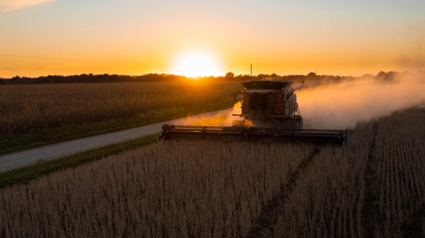 Incurable crop diseases threaten Missouri’s $5 billion corn and soybean industry