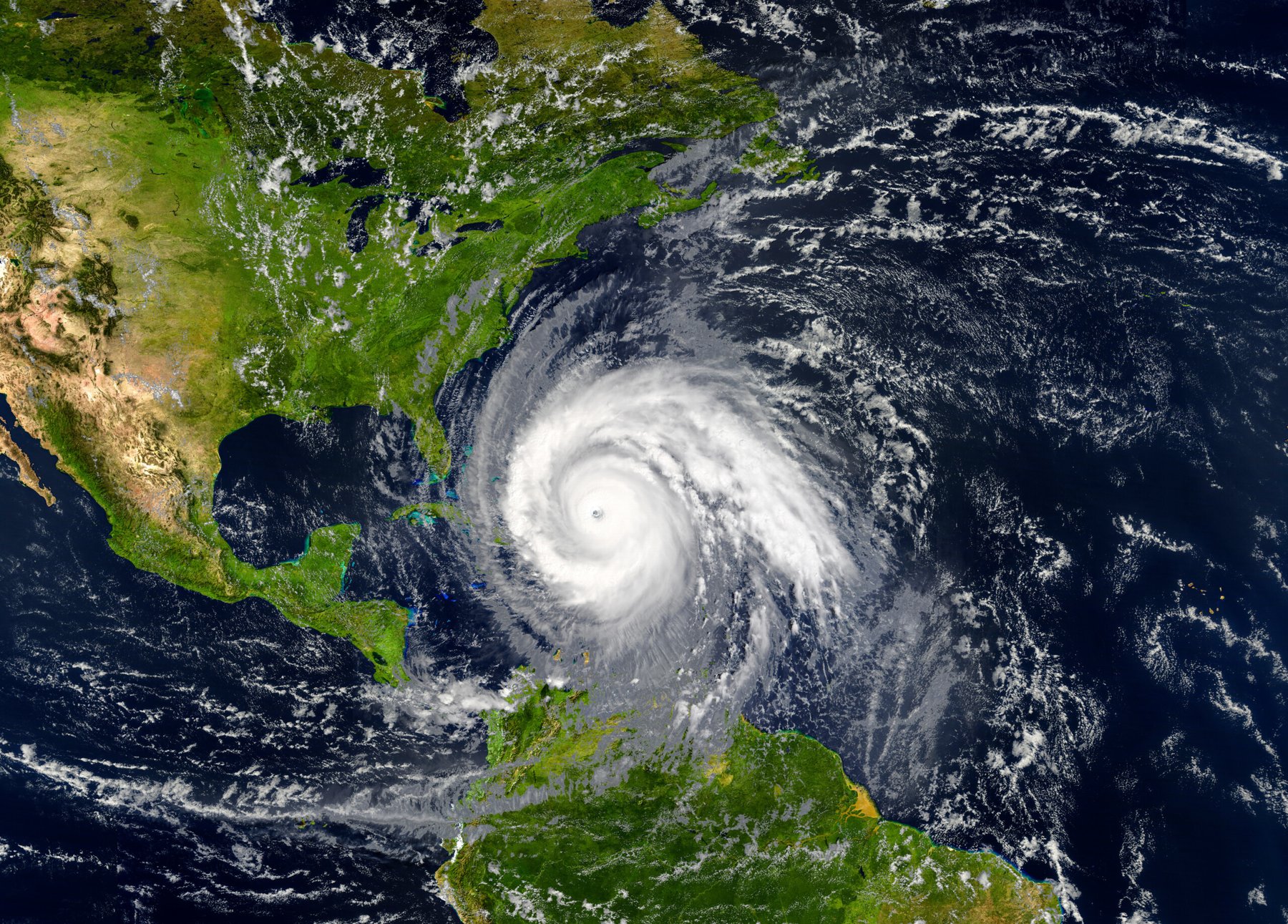 USDA allocates $675.9 million in hurricane disaster aid to Florida farmers