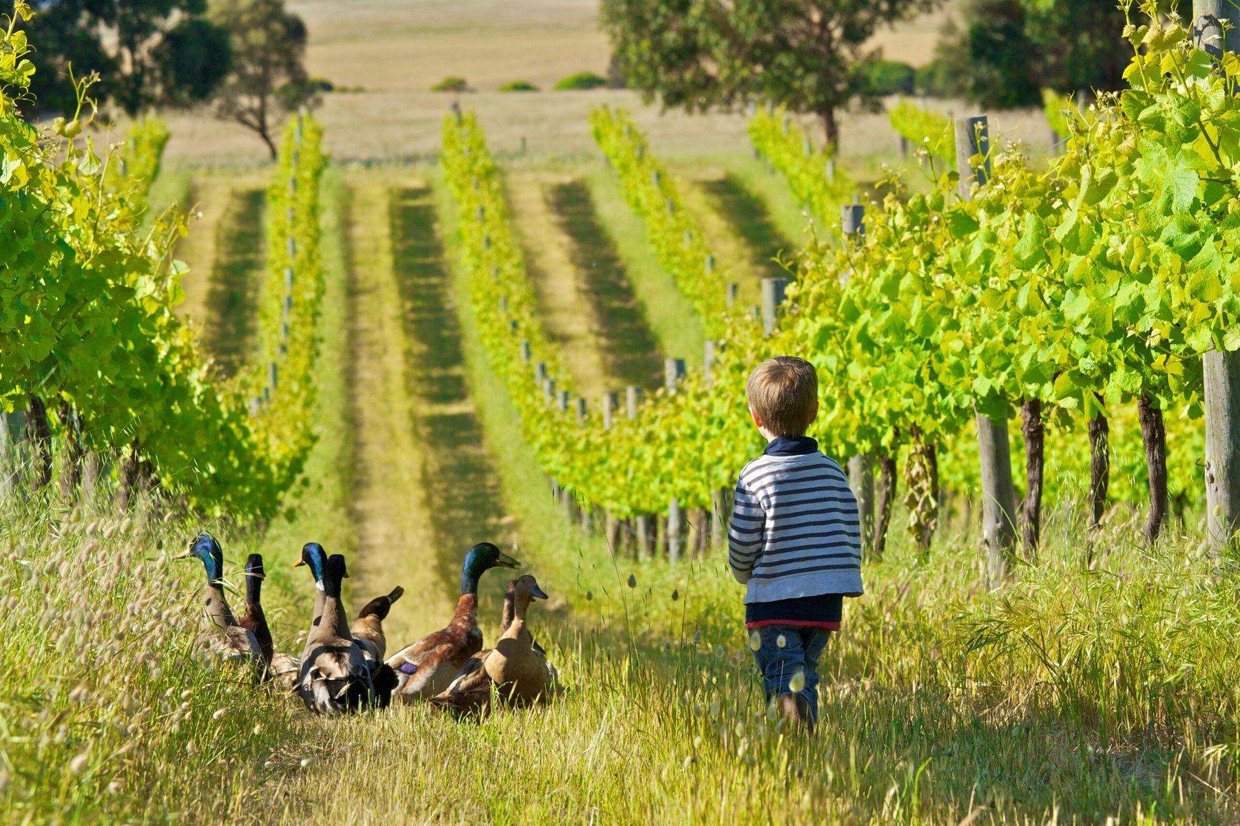 RLF AgTech secures national deal with Nutrien and raises $4.5 million to fund expansion