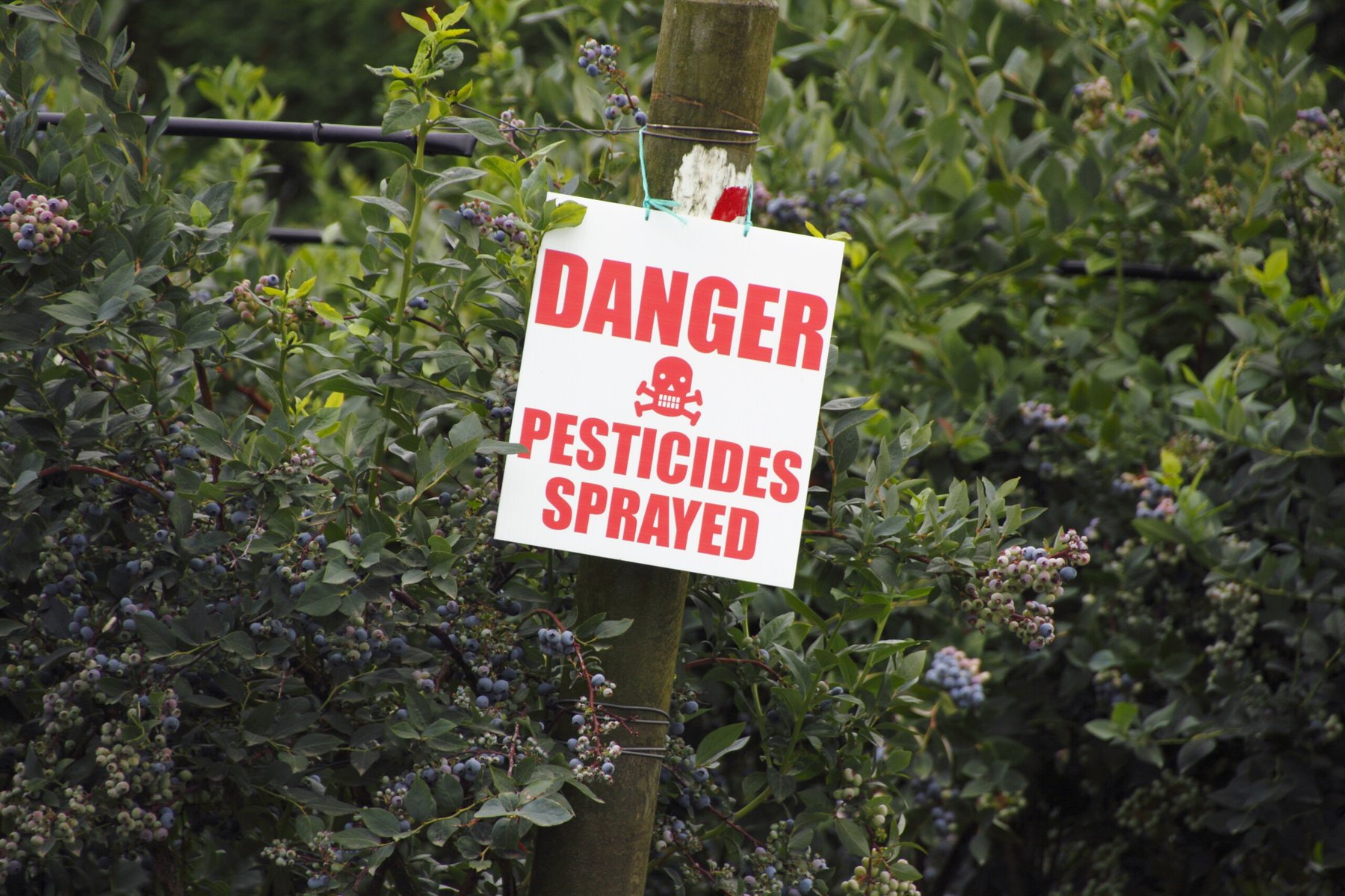 EPA tightens methomyl rules to protect endangered species