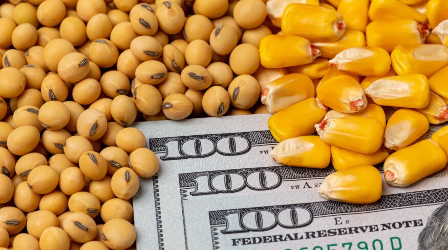 USDA projects record US corn yields, soybeans slip; global trade impact expected