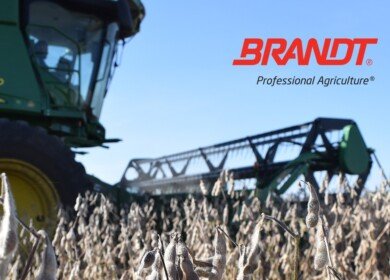 Brandt appoints Mauricio Andrião to lead international operations