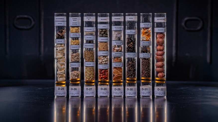 Brazil sends seeds to International Space Station for agricultural research