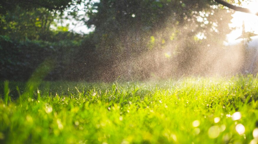 New research suggests that rain-induced soil carbon losses are widely underestimated
